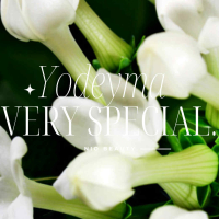 Very Special Damesparfum Yodeyma 15 Ml